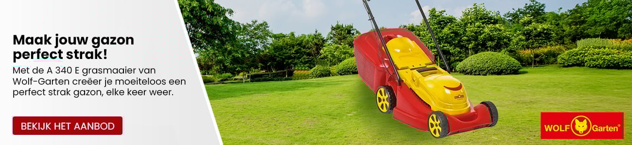 WOLF-Garten AMBITION V 303 E verticuteerder
